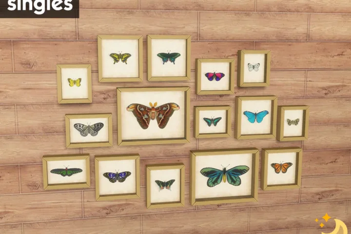 Framed Butterflies