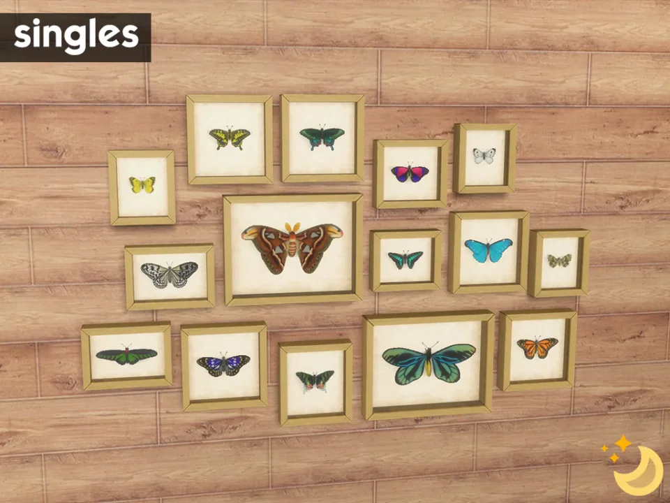 Framed Butterflies