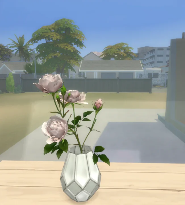 Pink roses in vase