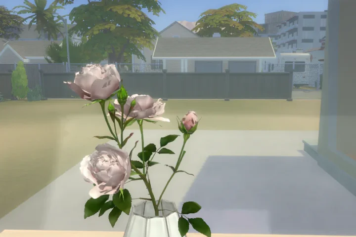 Pink roses in vase