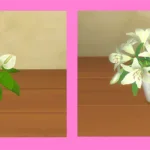 Mother's Day Set