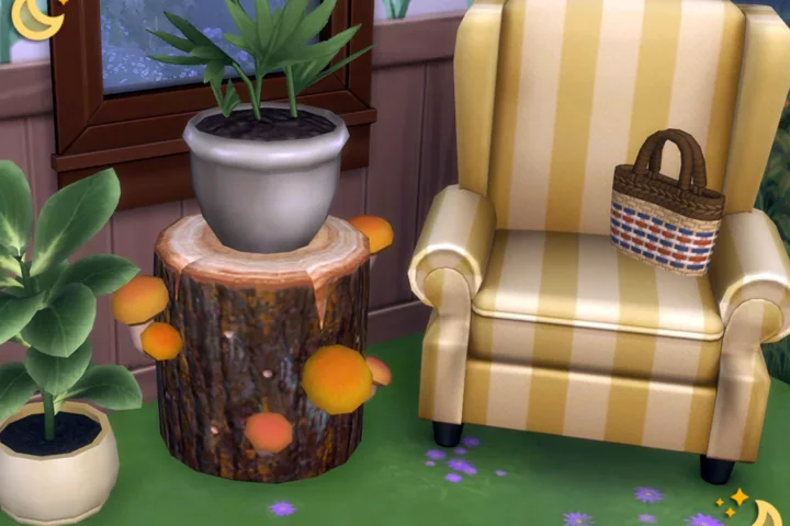 Mushrooms Set