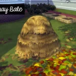 Autumn Harvest Set
