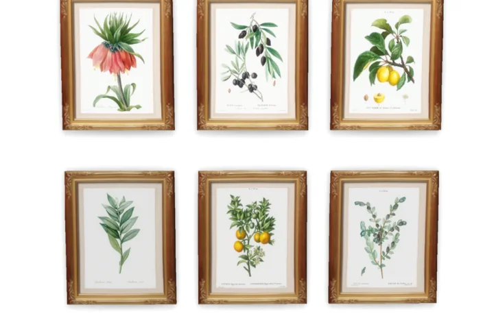 Vintage Botanicals