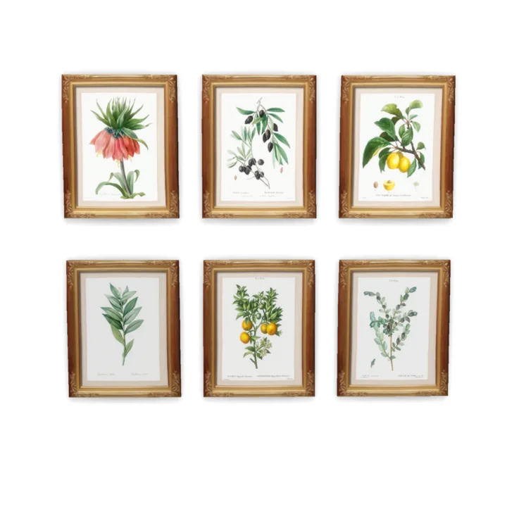 Vintage Botanicals