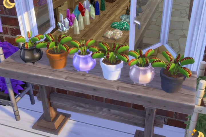 Venus Flytraps