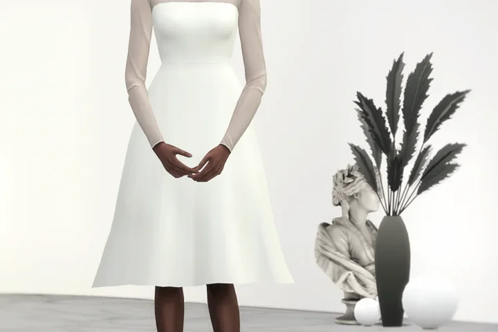 Mesh Flared dress