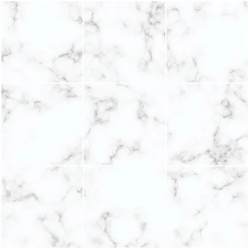 Marble Floor Tiles 1