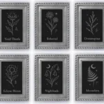 Witchy Plants - Collection