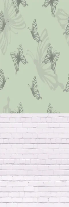 Butterfly Walls