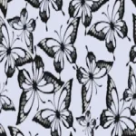 Butterfly Walls