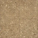 Floor Tiles 5