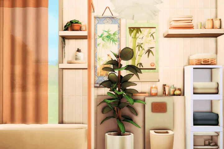 Ronin bathroom - no cc