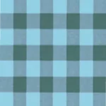 Country Plaid Walls