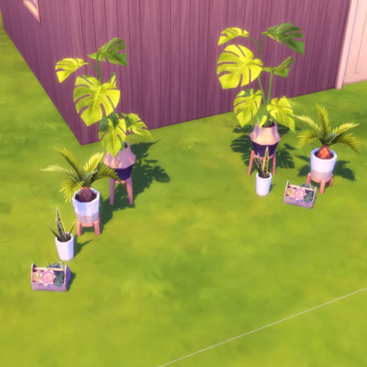 Separated Plants GT