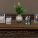 Family photo pack