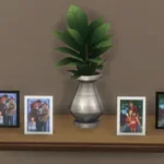 Family photo pack