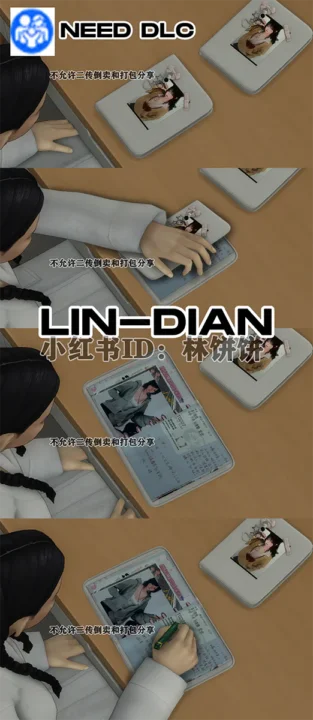 LIN-DIAN_functional diary