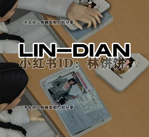LIN-DIAN_functional diary