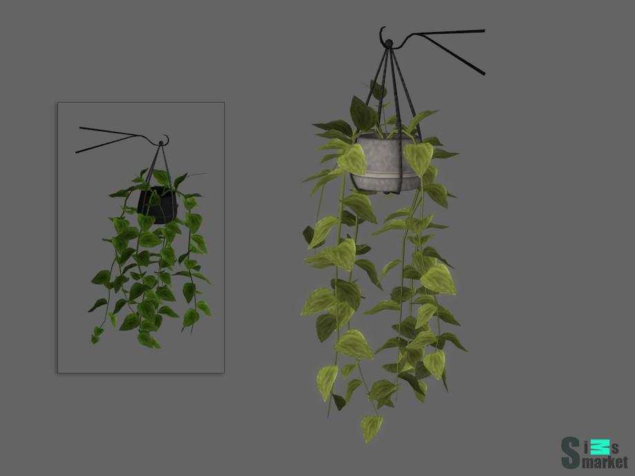 Растение Hang by sim_man123 для Симс 4. Скачать мод