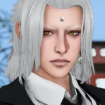 LIN-DIAN_Emet-Selch Hair V2