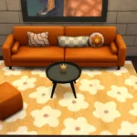 Color Rugs 3