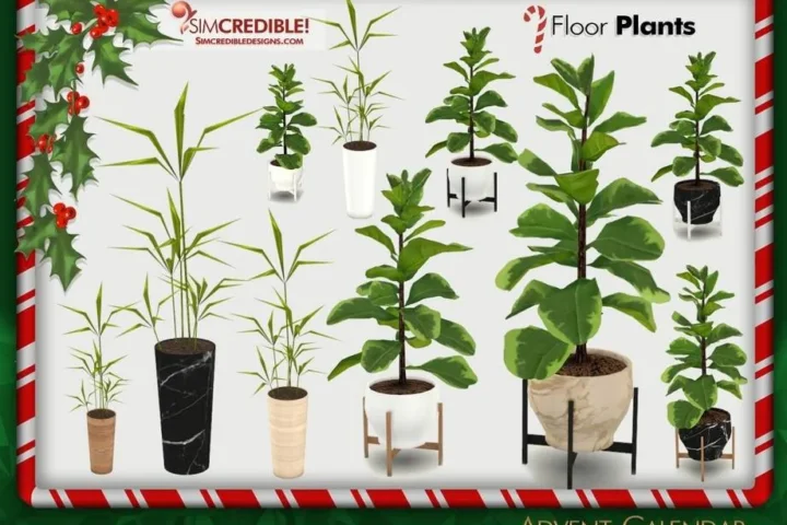 Advent Calendar 🎁 Day 22 - Large Plants 🌿