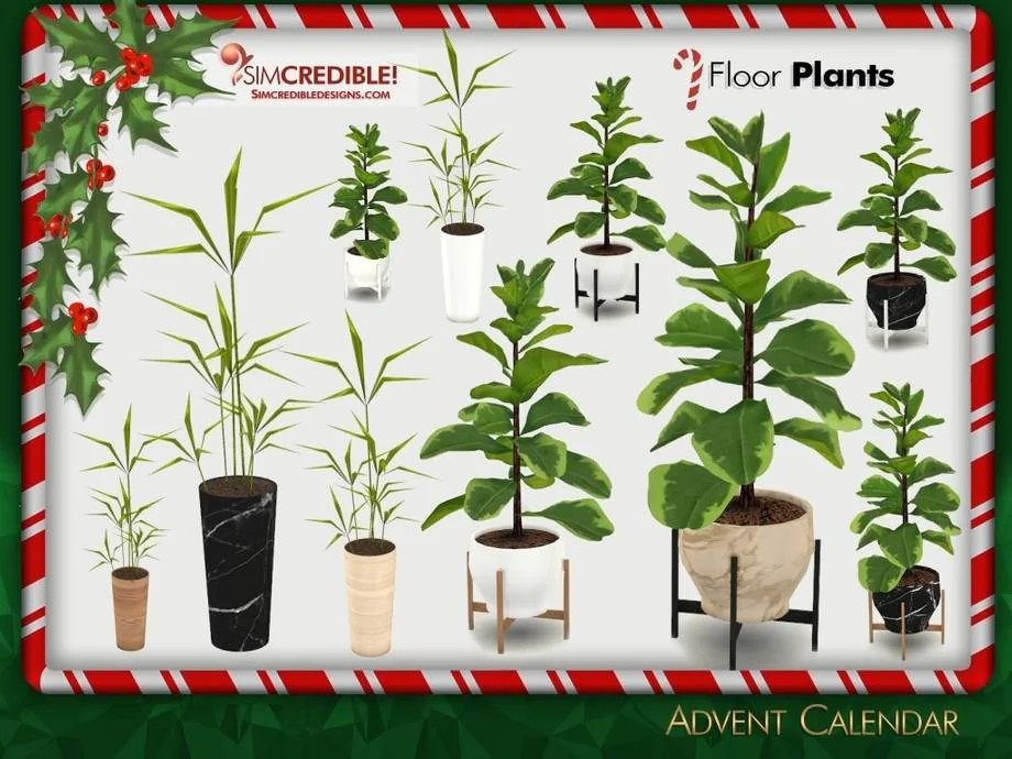 Advent Calendar 🎁 Day 22 - Large Plants 🌿