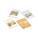 Safari Kids Room
