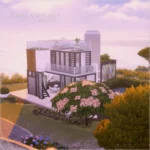 «Hoya Carnosa» RENTAL