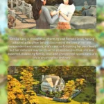 Realistic Save File V.3 Henford-On-Bagley... a living world