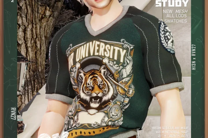 Men's Classic Fit Raglan Graphic University Tee Shirt