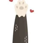 Love cats