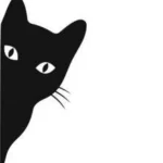 Love cats