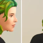 Half-up Braid Hair Edit V2 (Ombré)