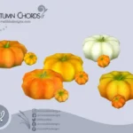 Autumn Chords - Pumpkins 🍁🎃🍂