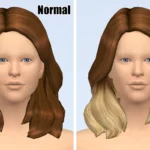 Kate hair Set