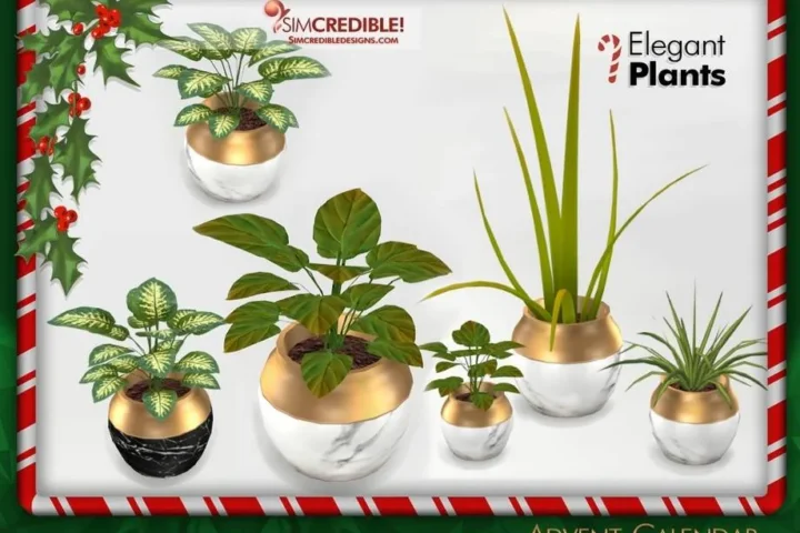 Advent Calendar 🎁 Day 18 - Plants