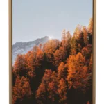 Autumn forest wall prints