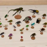 Beetle Displays