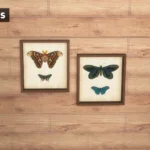 Framed Butterflies