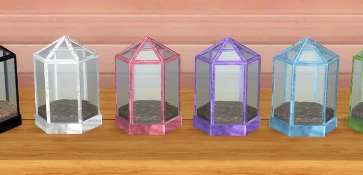 Terrariums Set