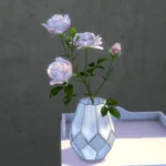 Pink roses in vase
