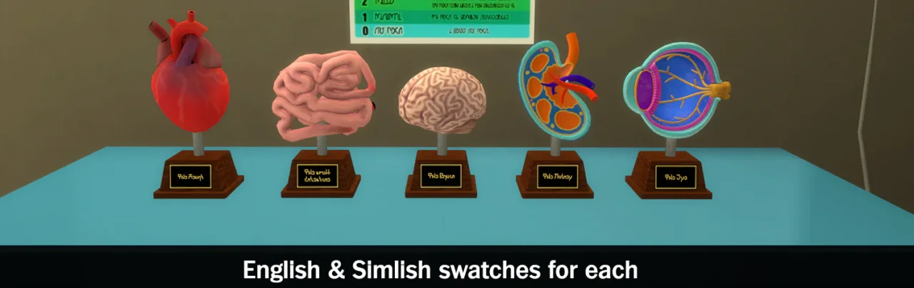 Medical Models Set