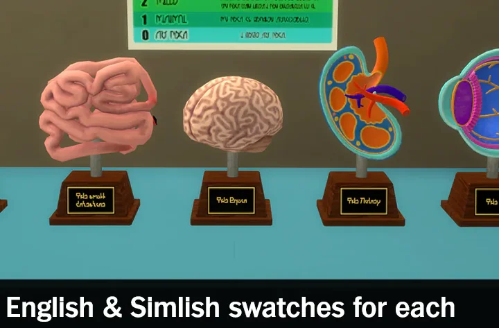 Medical Models Set
