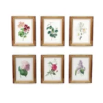 Vintage Botanicals