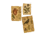 Witchcrafts Manuscripts