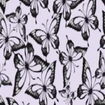 Butterfly Walls