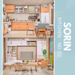 Sorin Kitchen - No CC