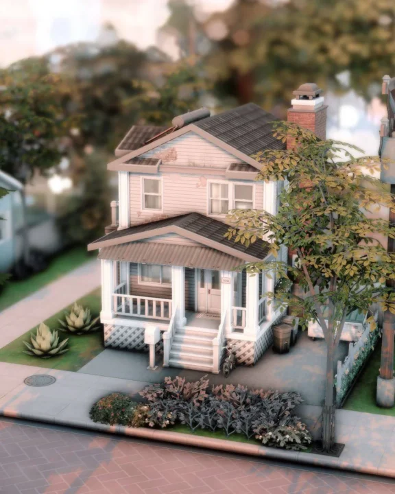 Realistic budget house